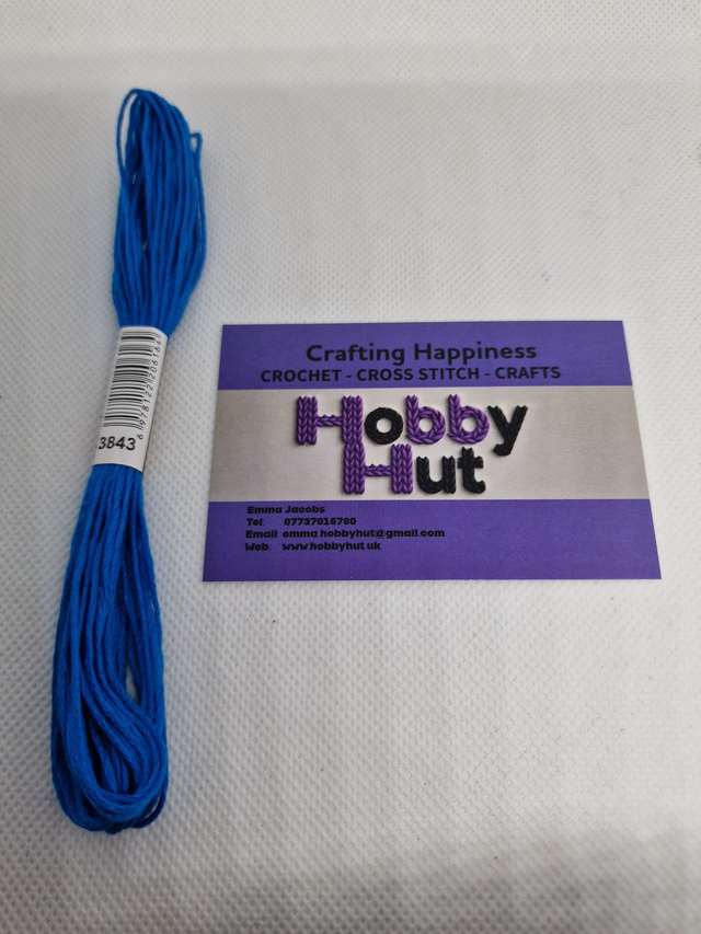 Embroidery Thread - 3843