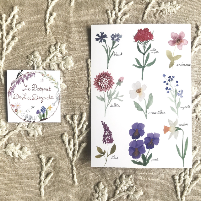 Carte postale Herbier