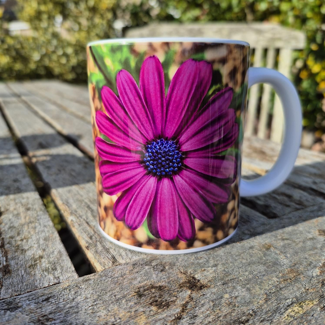 Osteospermum mug