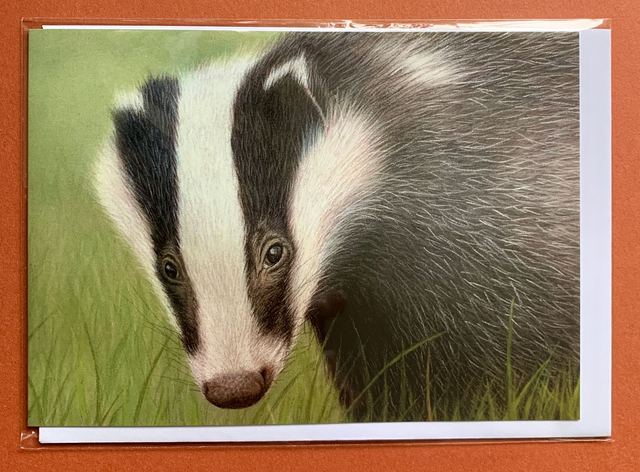 Greetings Card - Badger - Blank Inside