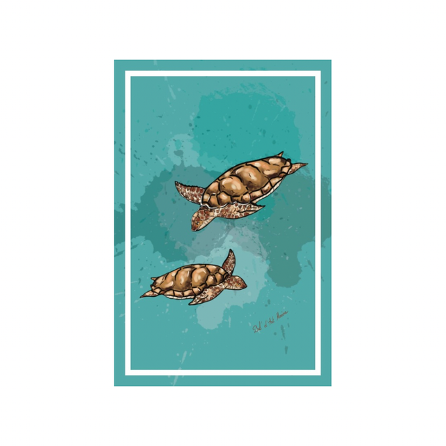 Carte postale - Tortue de mer 