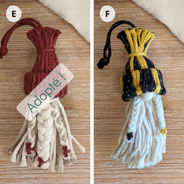 Féérie des Gnomes Joueurs