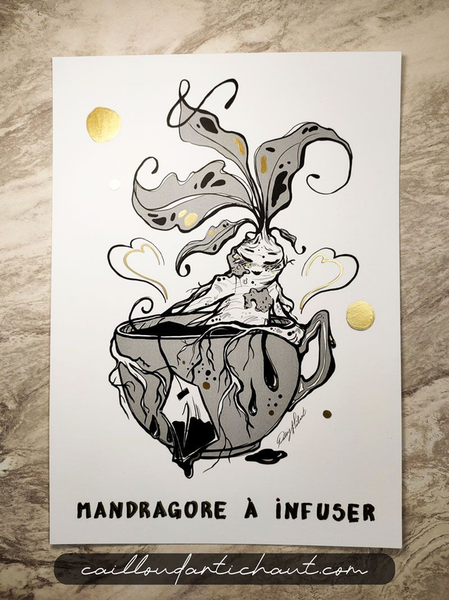 Mandragore à infuser - PRINT OPTION DORURE A5