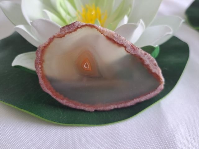 Petite tranche d'agate 