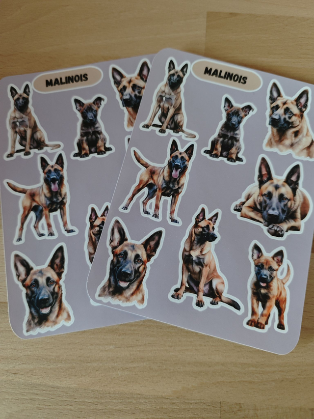 Planche stickers Malinois