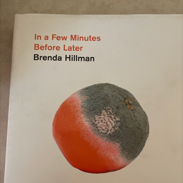 In A Few Minutes Before Later Brenda Hillman