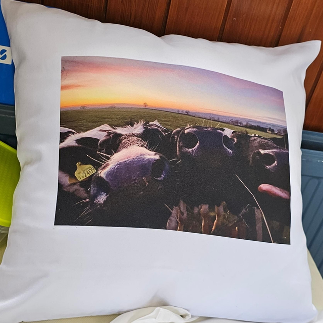 Cushion Cover Cow