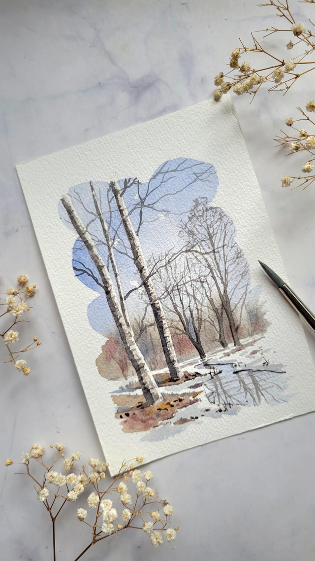 Bouleaux d&#039;hiver