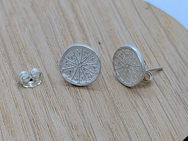 Large Citrus Slice Earrings