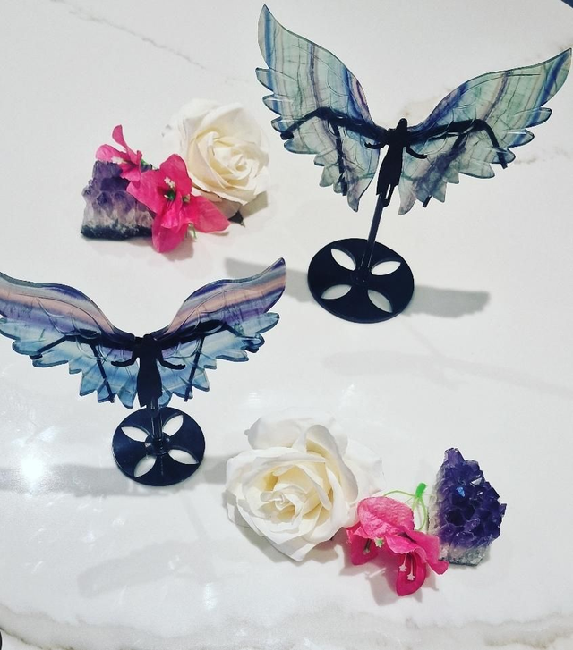 Angel Wings On Stand : Rainbow Fluorite