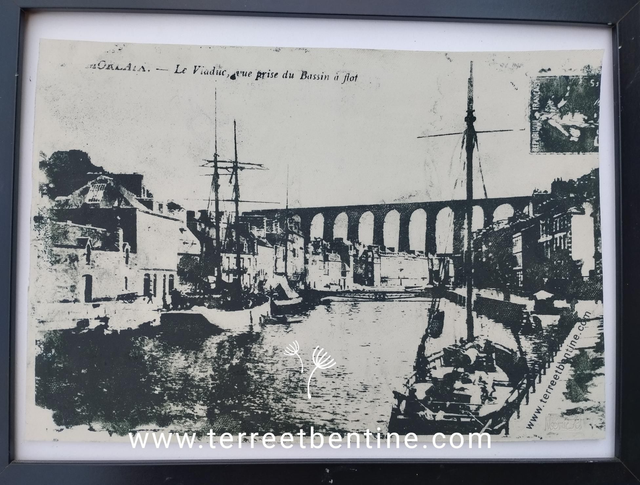 COLLECTION : CPA Morlaix - Le port - Pièce UNIQUE