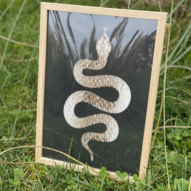 Portrait Reptilien - Cadre Serpent