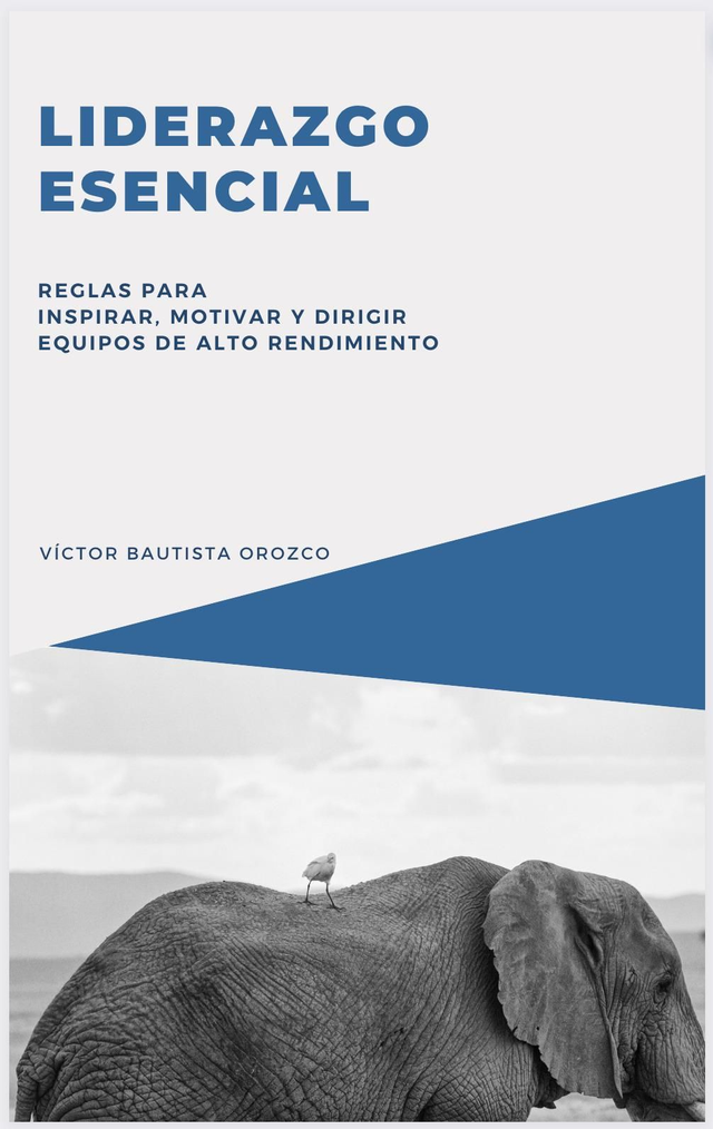 Liderazgo esencial 