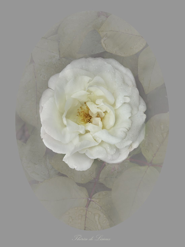 Rose Thérèse de Lisieux