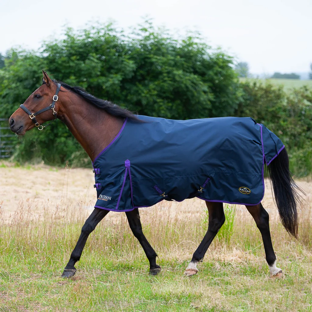 Gallop Trojan 0g Duraproof Turnout Rug Navy/Purple