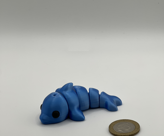 Dolphin