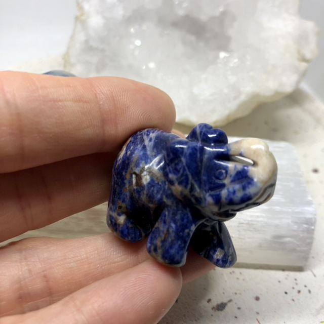 Éléphant Sodalite