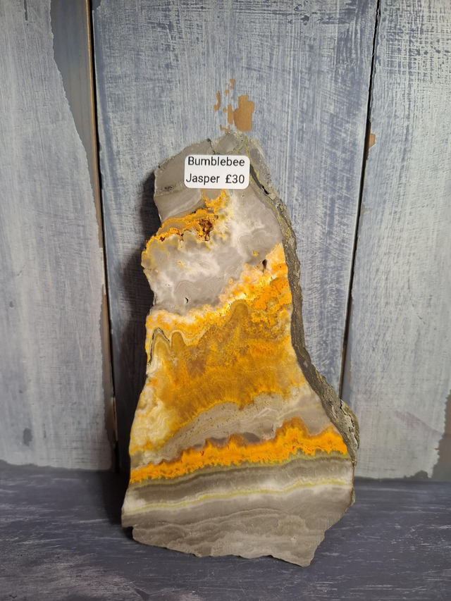 Bumblebee Jasper Slice
