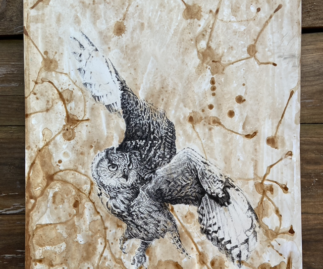Owl in the air print