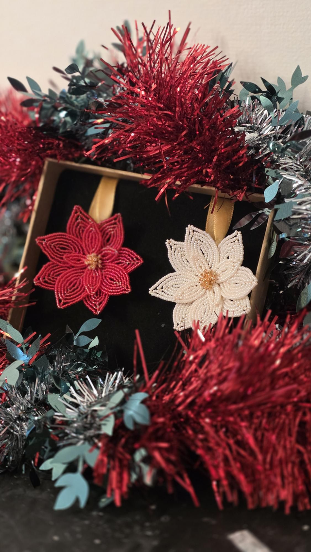 Coffret Suspensions Poinsettias