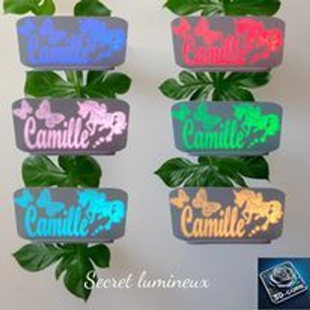Secret lumineux LICORNE personnalisé