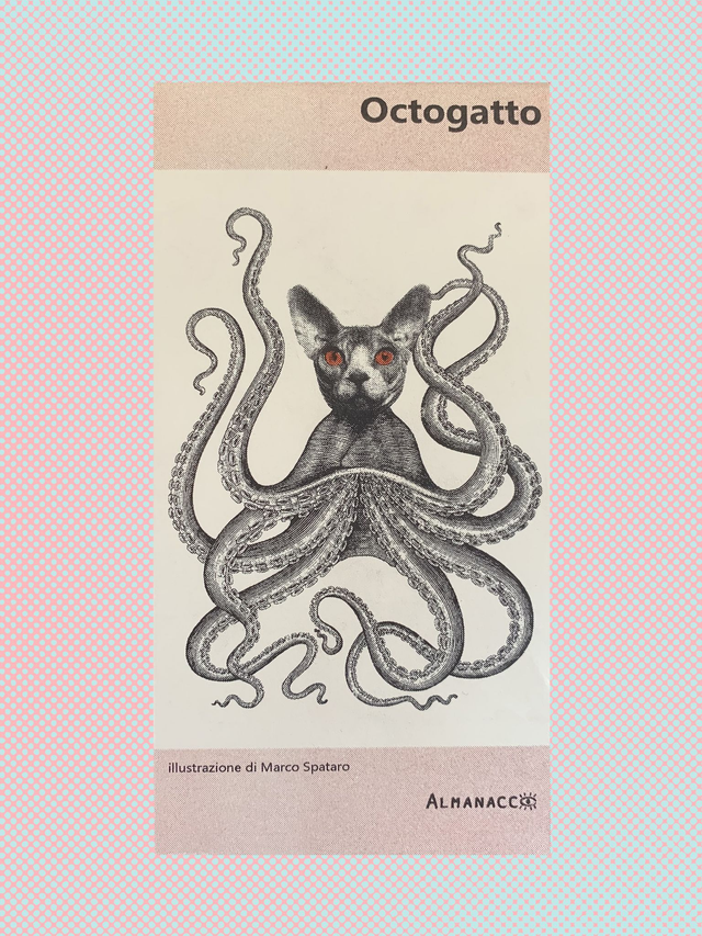 OCTOGATTO