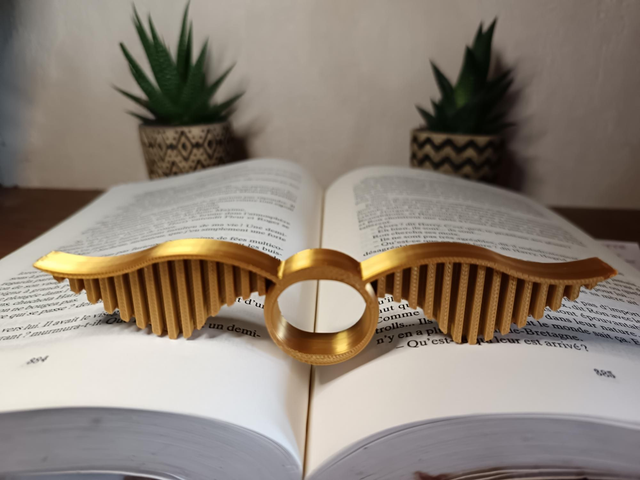 Bague de lecture vif d'or 