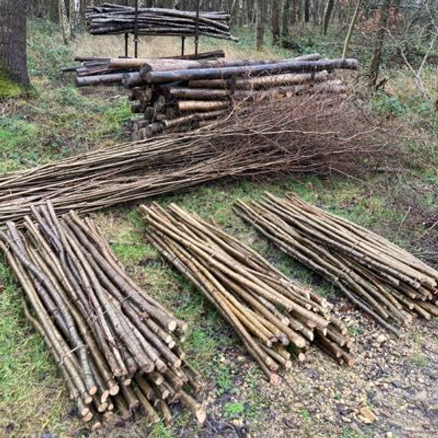 Hazel Stakes Four Weeks From Order