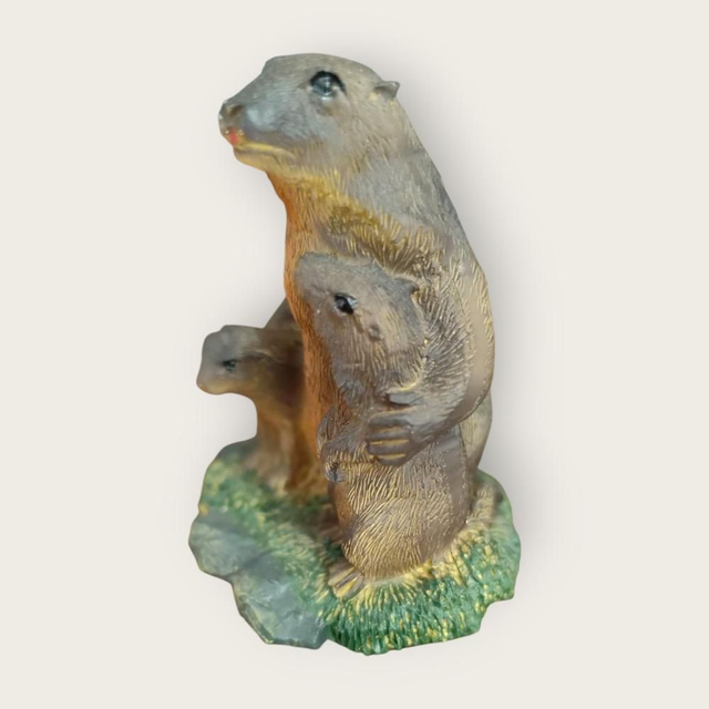 Famille de marmottes