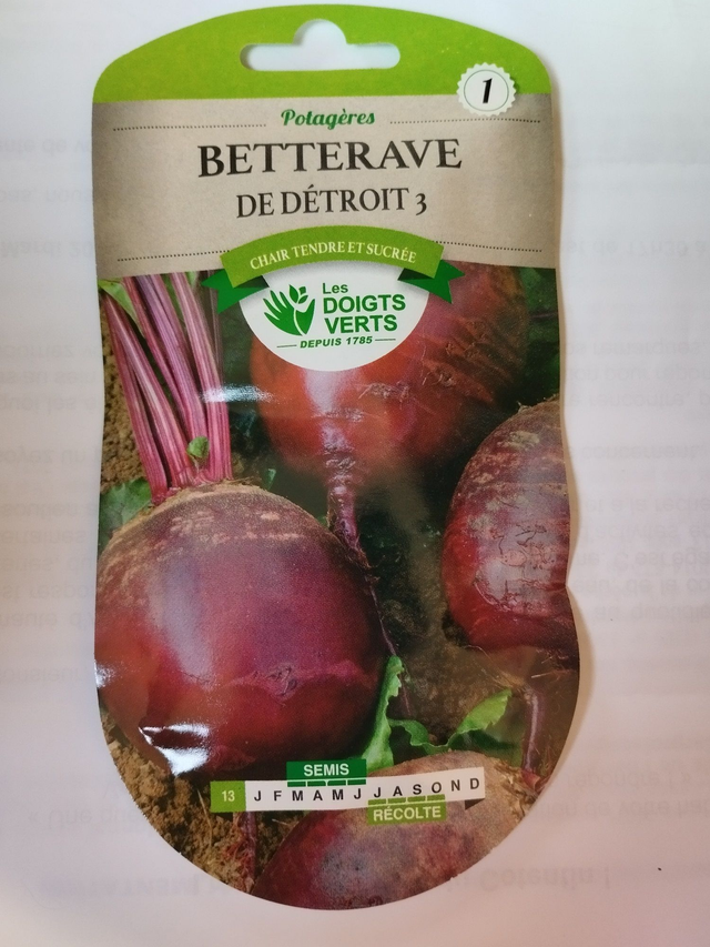 Betterave de Détroit 3