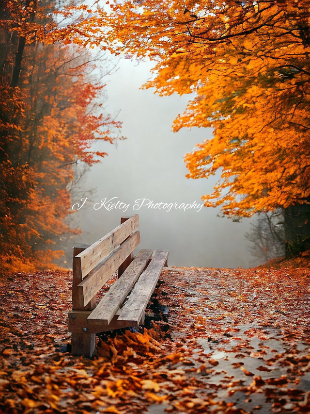 A Misty Autumn Morning at Hazelwood, Lough Gill, County Sligo. 