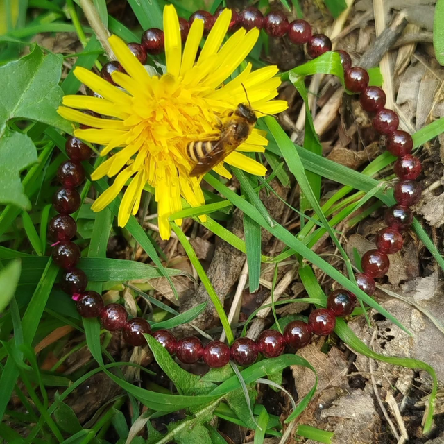 Bracelet Grenat
