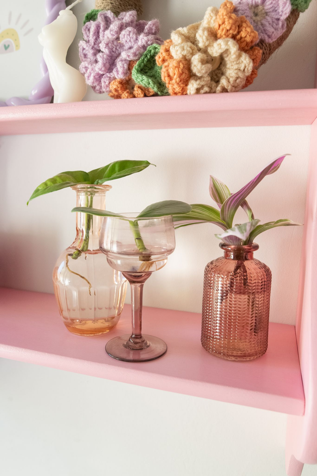 Boutures on the Beach 🍹