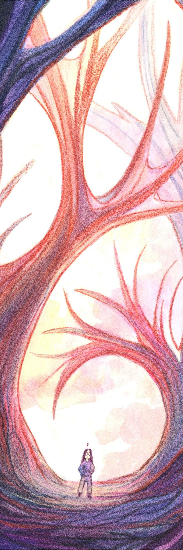 Marque Page - la forêt