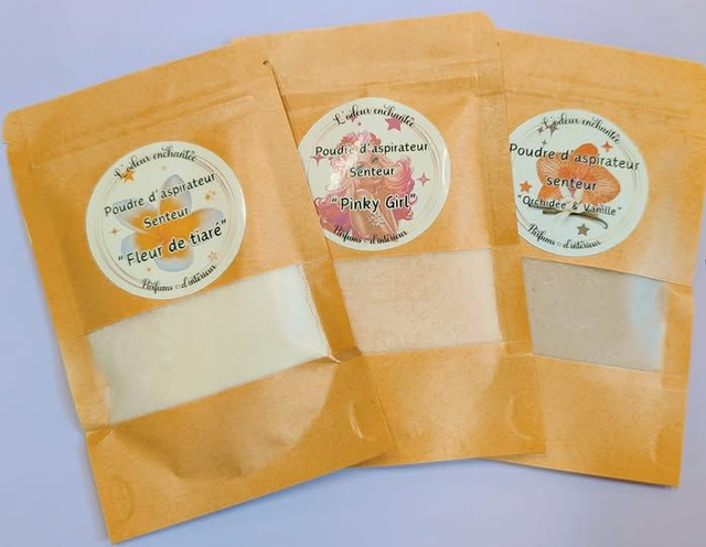 Poudre d&#039;aspirateur