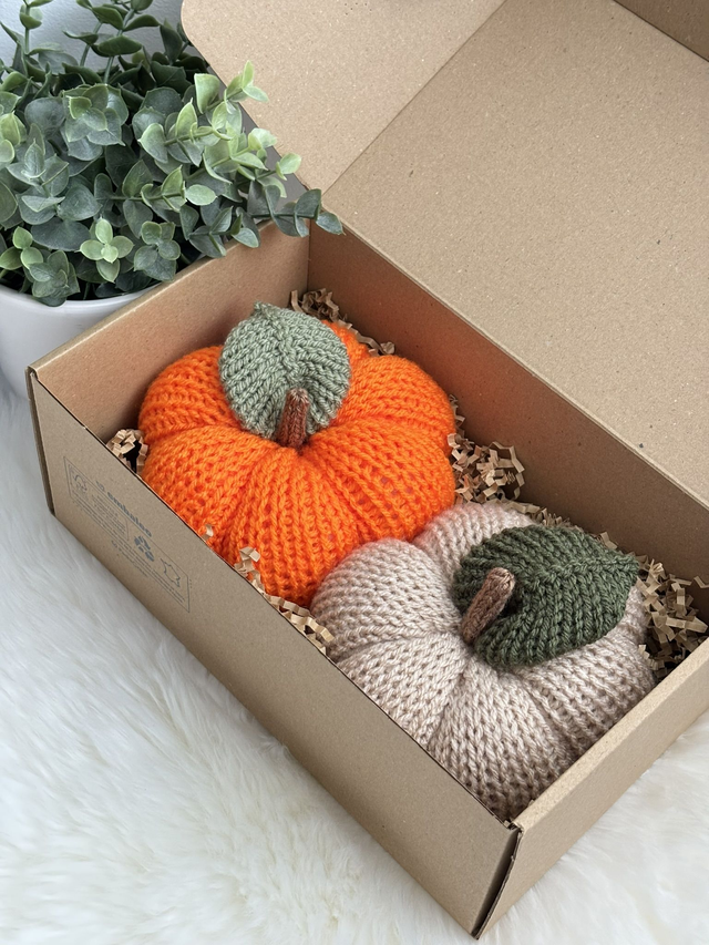 Citrouilles (Lot de 2) 