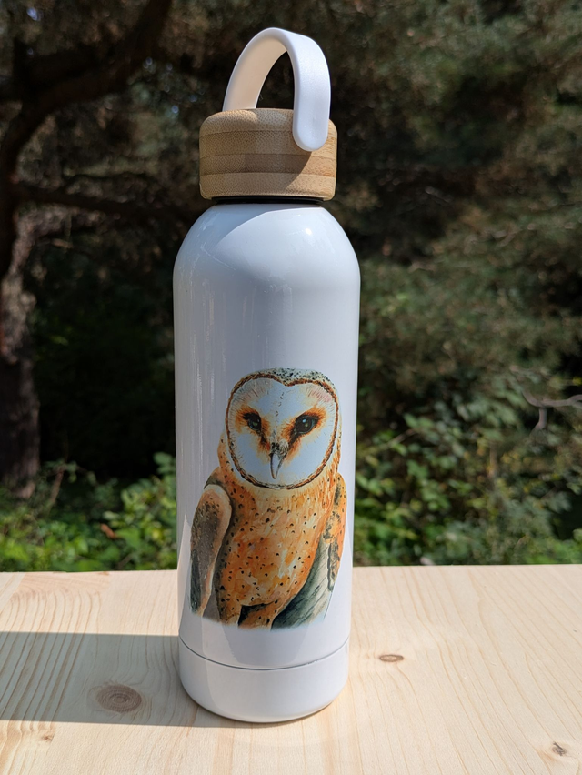 Gourde Chouette effraie