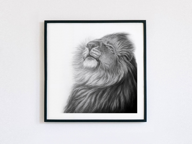 Lion I Limited Edition Print