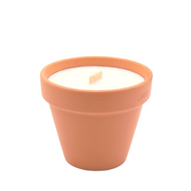 Bougie naturelle Anti Insectes