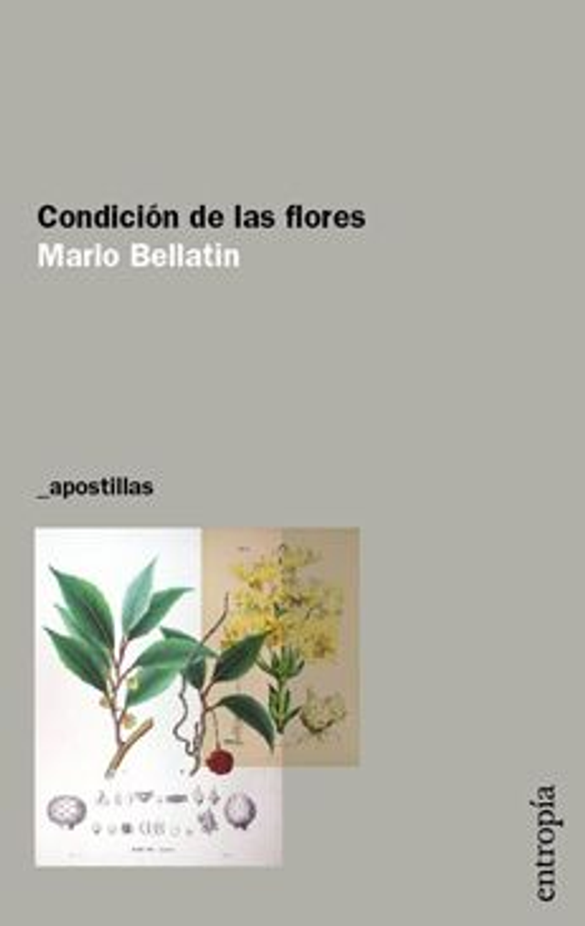 Condición de las flores - Mario Bellatin