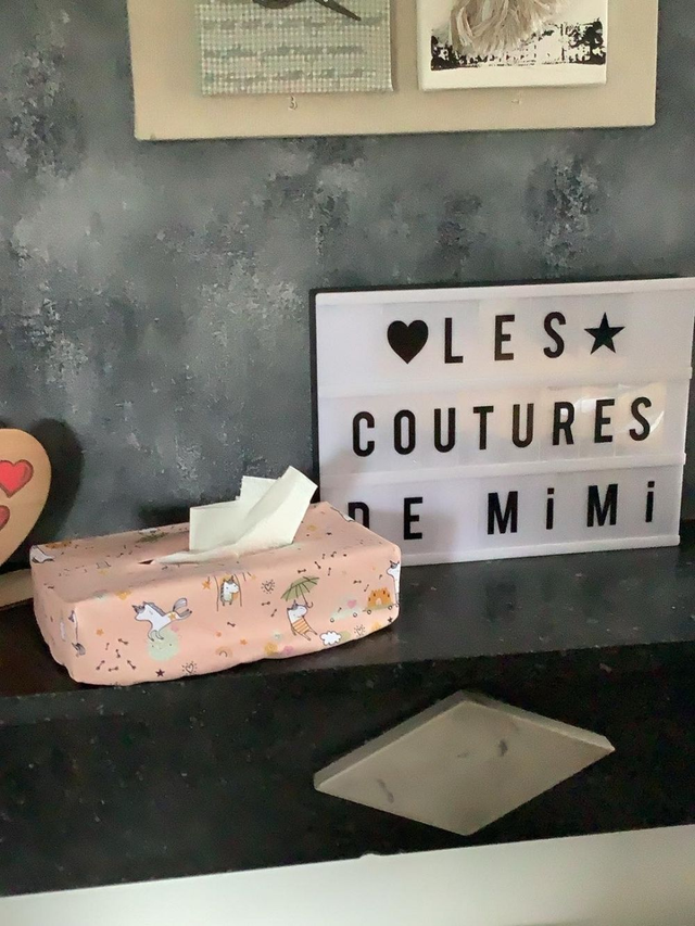 Housse boite à mouchoir