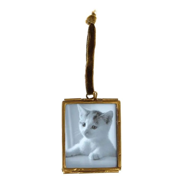 Brass hanging frame rex