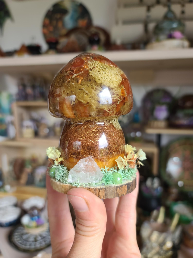 Champignon sacré Cornaline 🧡