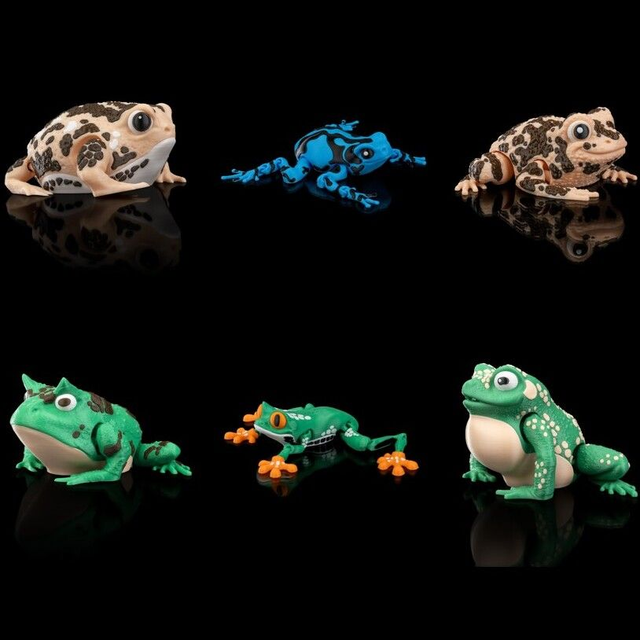 Animaux flexibles : Grenouilles amusantes