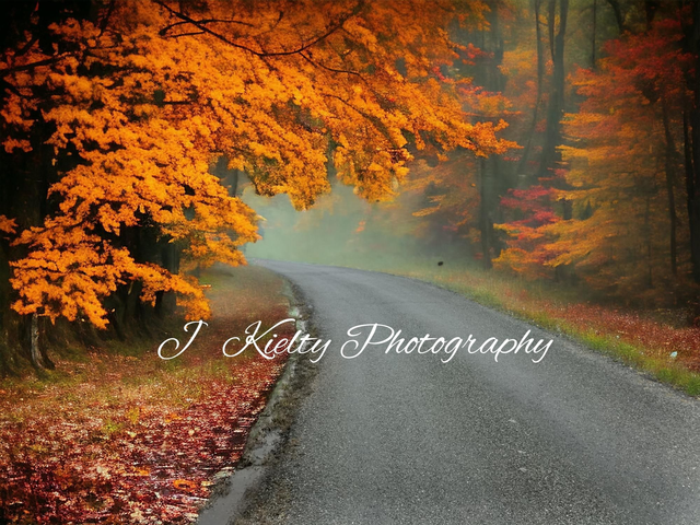 A Misty Autumn Morning in County Sligo. 