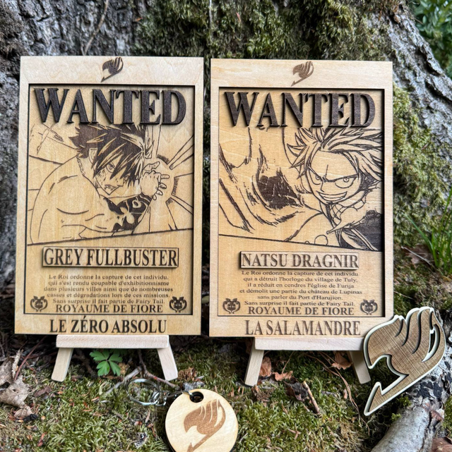 FAIRY TAIL - Grey Fullbuster WANTED