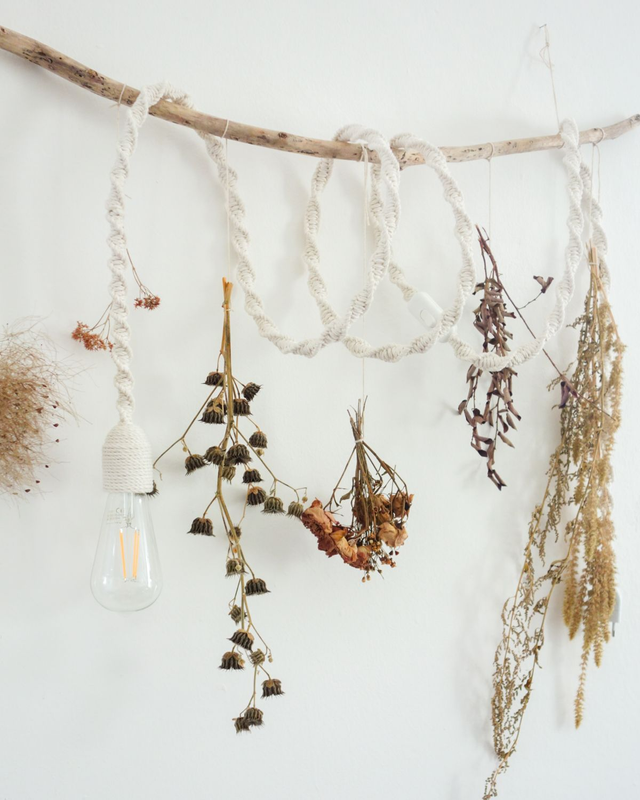 𝐿𝑎𝑚𝑝𝑎𝑑𝑎 𝑎 𝑠𝑜𝑠𝑝𝑒𝑛𝑠𝑖𝑜𝑛𝑒