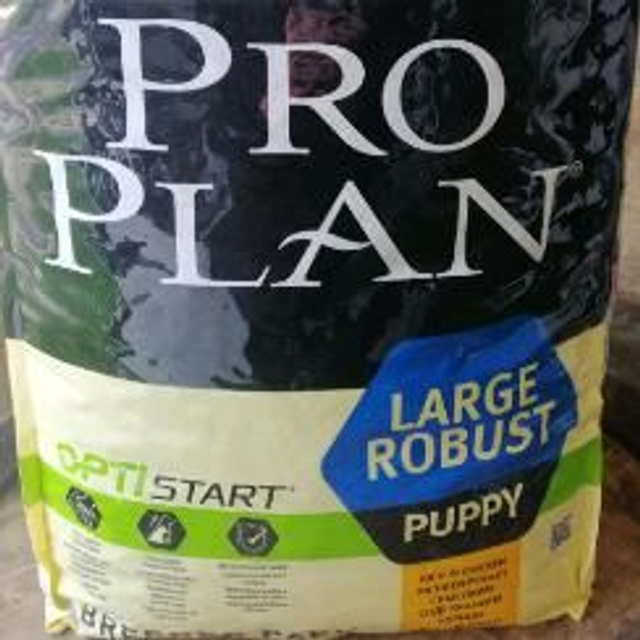 puppy large 18kg robust poulet