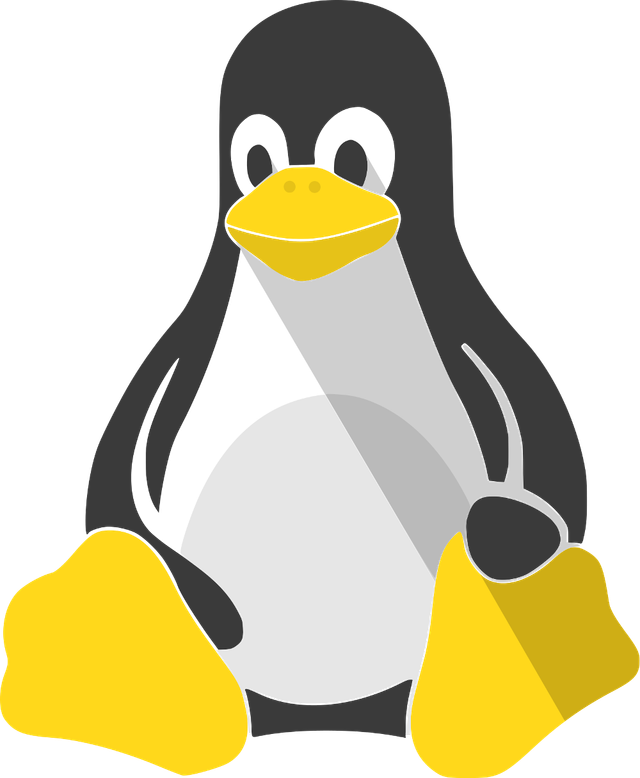 Instalar S.O Unix/Linux