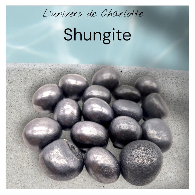 Pierre roulée &quot;Shungite&quot;